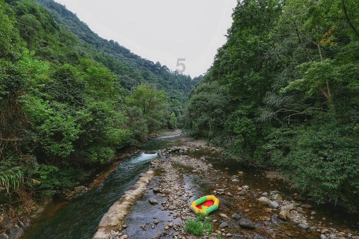 星际争霸2